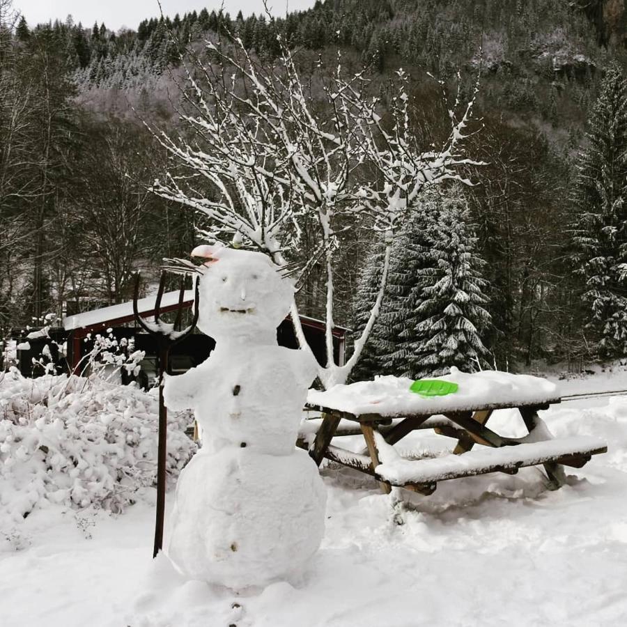 Nant D Ant Daire Samoëns Dış mekan fotoğraf